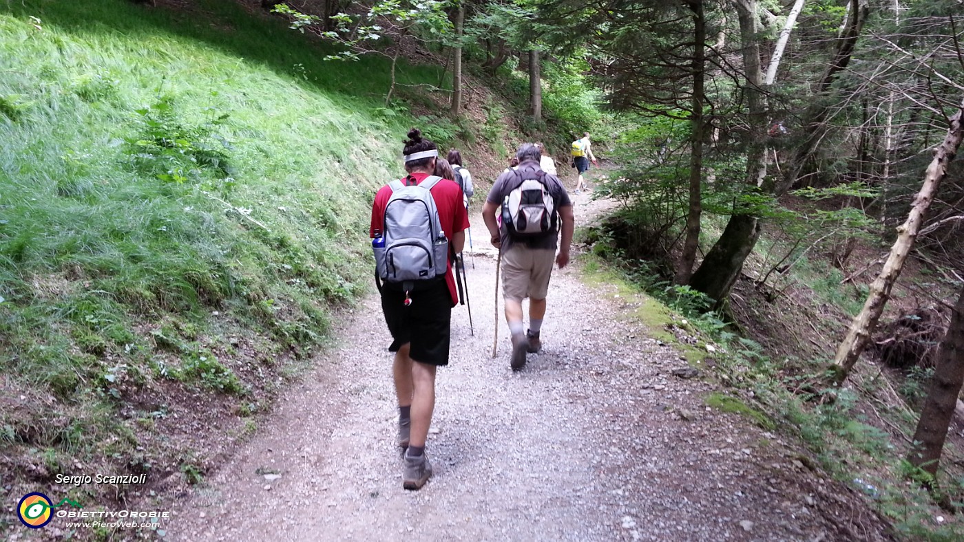 11 BELLA CAMMINATA NEL BOSCO.jpg